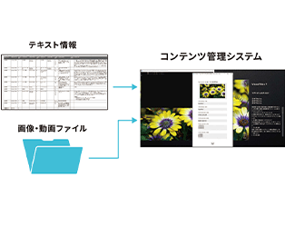 システムで情報を簡単に登録・更新